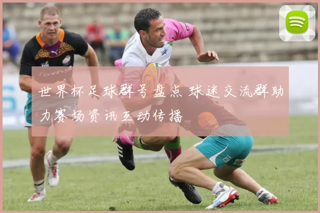 世界杯足球群号盘点 球迷交流群助力赛场资讯互动传播