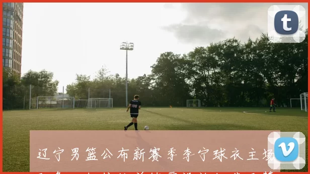 辽宁男篮公布新赛季李宁球衣主场配色回归传统并披露设计细节及赞助影响