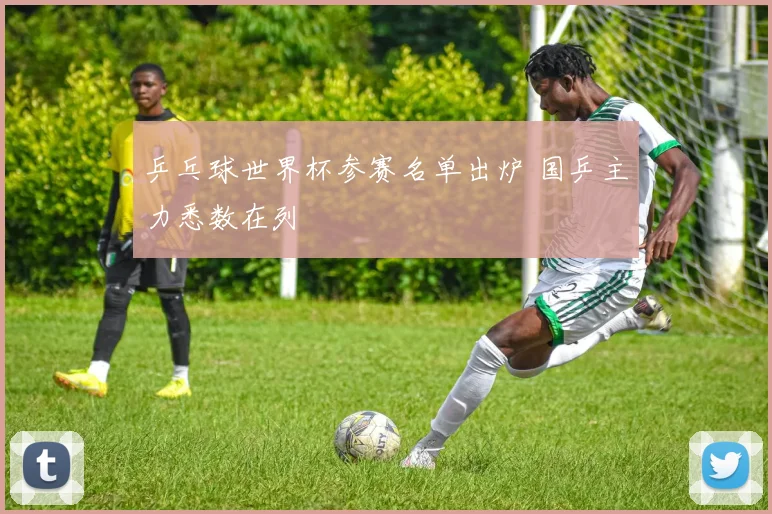 乒乓球世界杯参赛名单出炉 国乒主力悉数在列