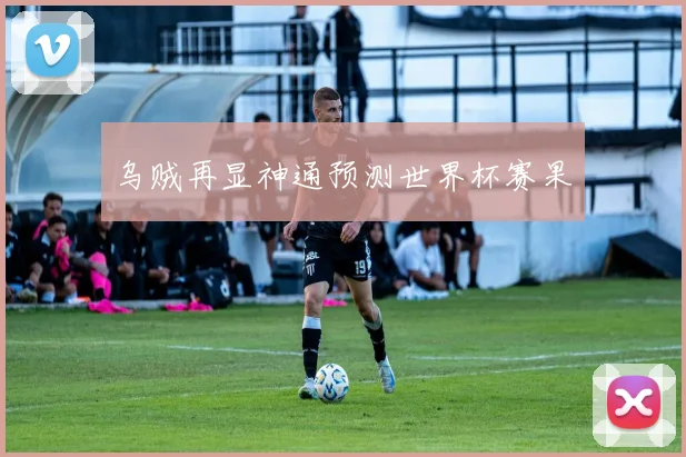 乌贼再显神通预测世界杯赛果