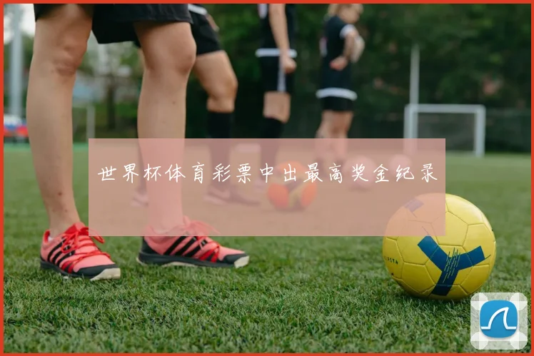世界杯体育彩票中出最高奖金纪录